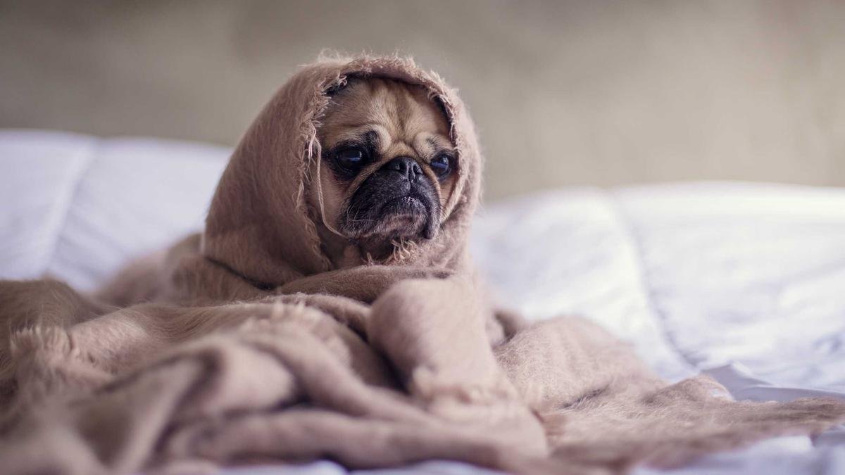 Ứng dụng AI có trách nhiệm trong công việc hằng ngày